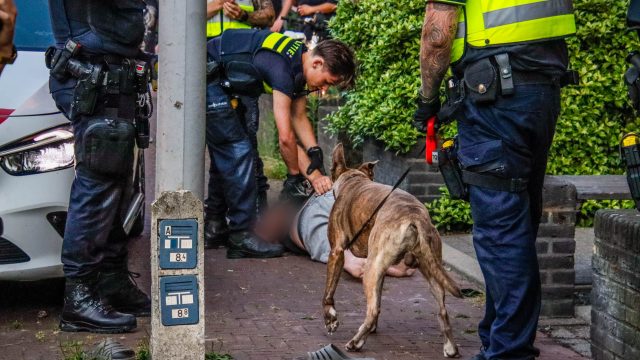 Twee agenten gewond door hond bij aanhouding in Amersfoort