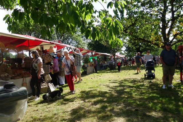 Kersenfestival Cothen: Een kleurrijk fruitfeest in de boomgaard