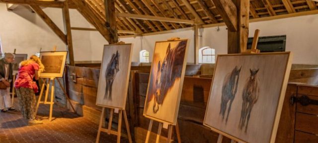 Kunstexpositie over paarden in De Paardenkamp