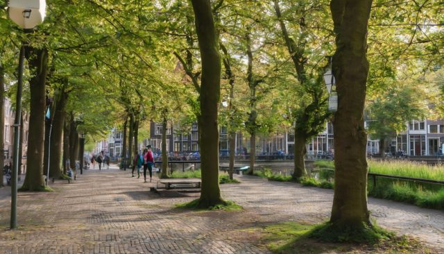 Hoe Je De Beste Plekken Vindt Voor Rustige Wandelingen In Utrecht?
